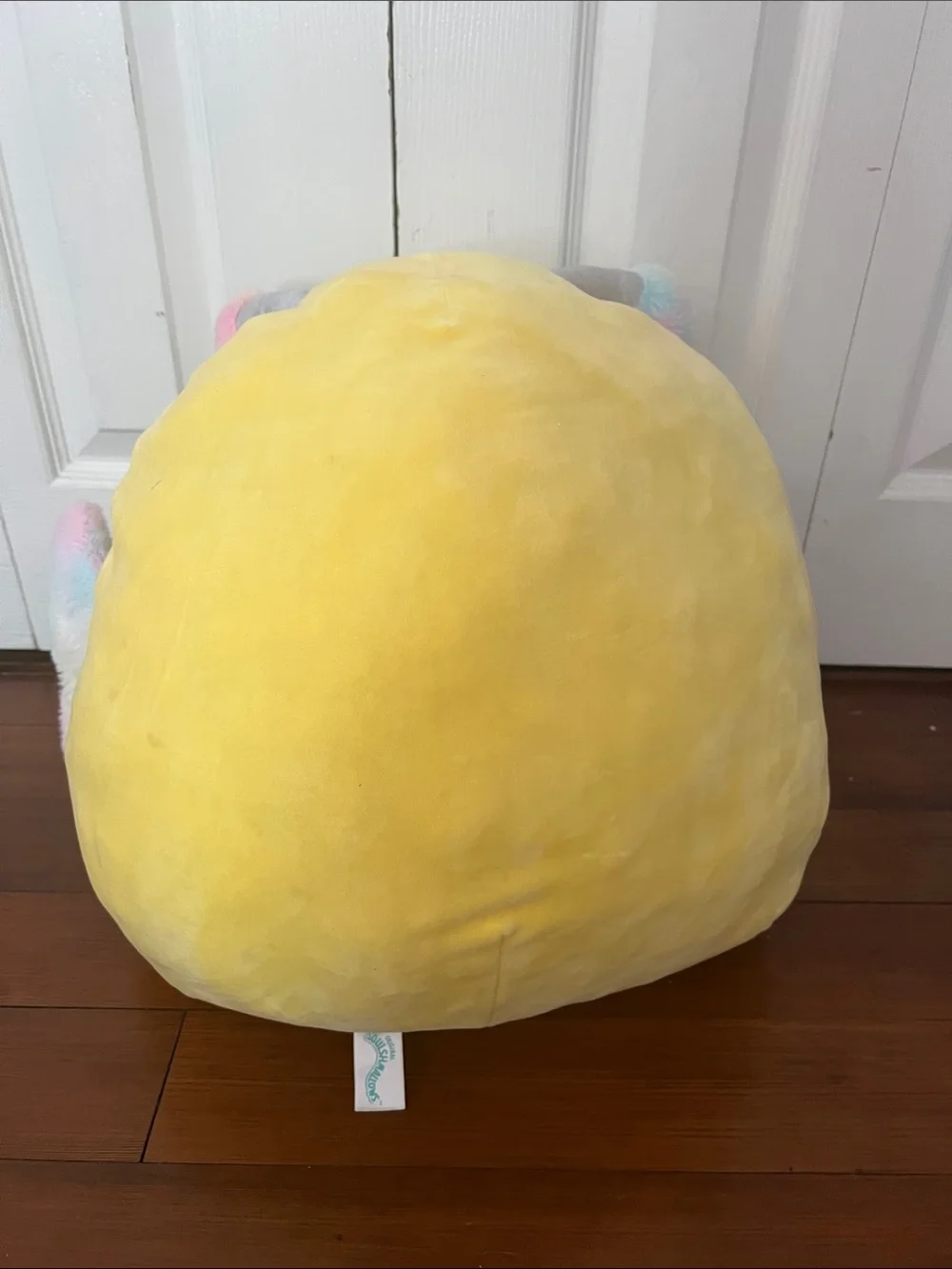 Two Squishmallows Nixie and Rosie